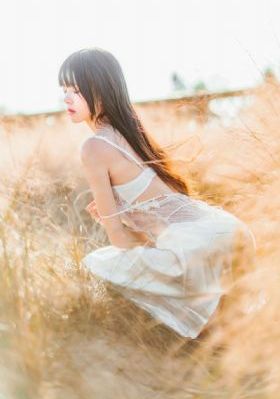 在线高清无广告播放_DVD在线视频播放